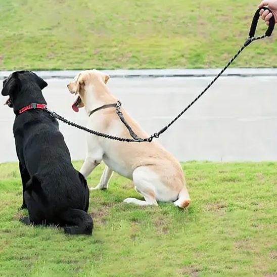 Laisse-chien-confort-MultiPattes