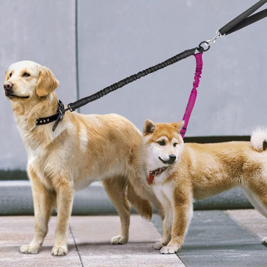 Laisse-chien-confort-TwiceWalk