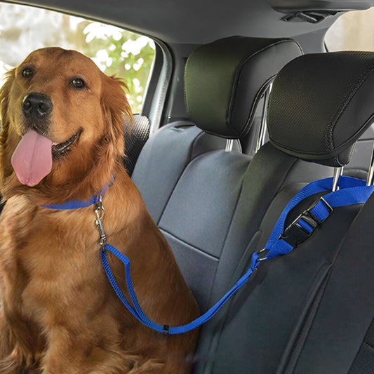 Laisse-chien-confort-WoofBelt
