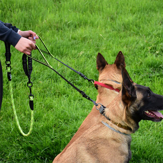 Laisse-chien-entrainement-FlexiDuo
