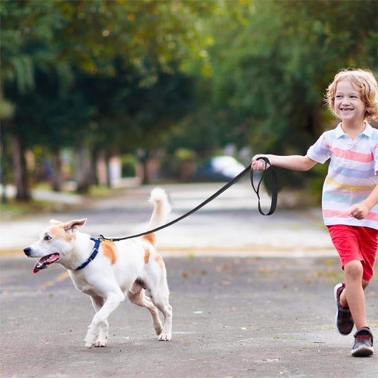Laisse-chien-plaisir-WoofLine