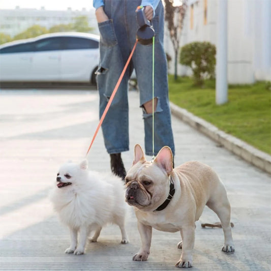 Laisse-chien-promenade-LightPaw