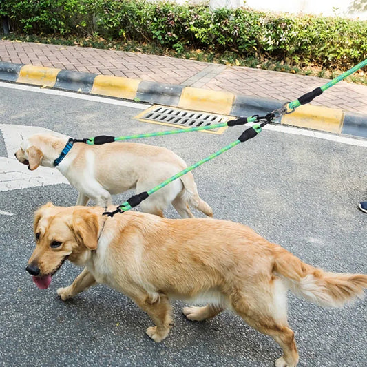 Laisse-chien-promenade-TwinLine