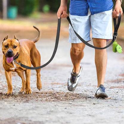 Laisse-chien-promenade-WoofLine