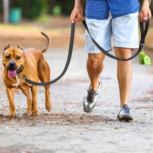 Laisse-chien-promenade-WoofLine