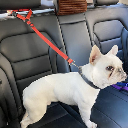 Laisse-chien-securite-WoofBelt