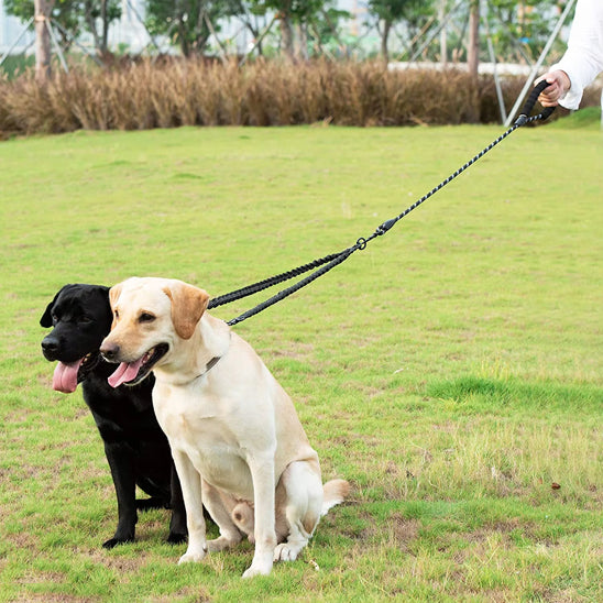 Laisse-chien-style-MultiPattes