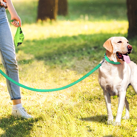 Laisse-chien-style-WoofLine