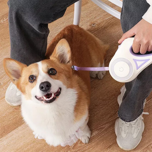 Laisse-pour-chien-confort-GlowWalk