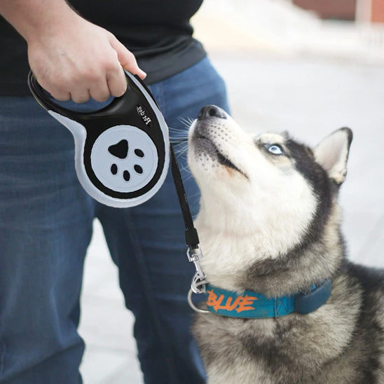 Laisse-pour-chien-confort-PawLine