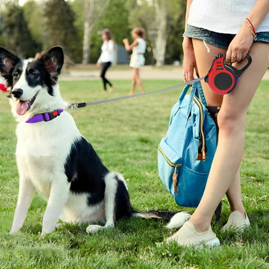 Laisse-pour-chien-confort-SnappyLeash