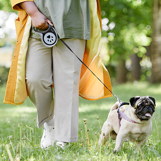 Laisse-pour-chien-exterieur-PawLine
