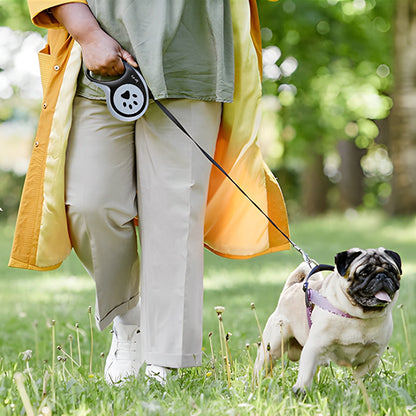 Laisse-pour-chien-exterieur-PawLine