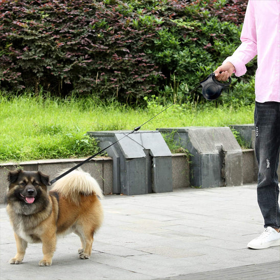 Laisse-pour-chien-marche-GlowTrack