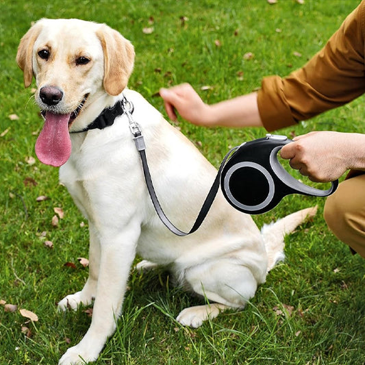 Laisse-pour-chien-plaisir-WagSlide