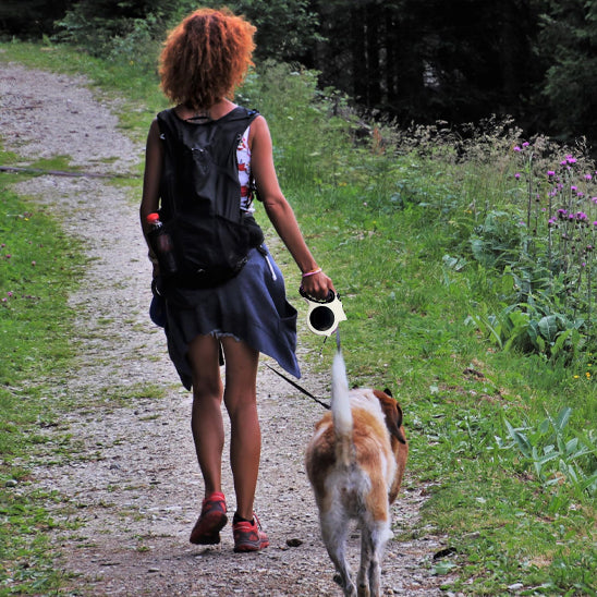 Laisse-pour-chien-promenade-GlowTrack