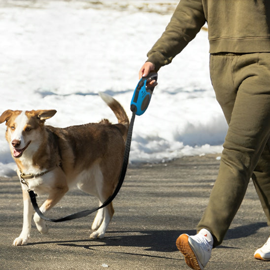 Laisse-pour-chien-promenade-SnappyLeash