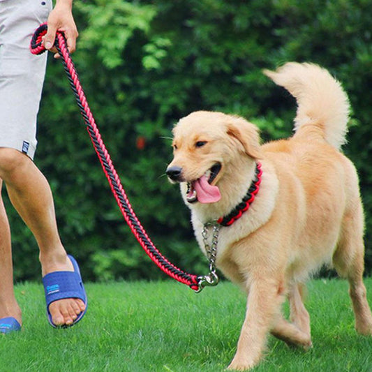Laisse-pour-chien-promenade-TitanLaisse
