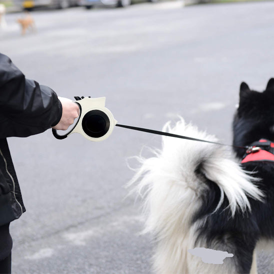 Laisse-pour-chien-securite-GlowTrack