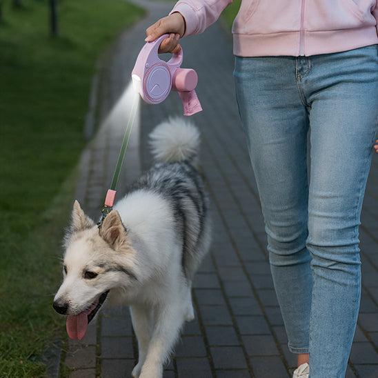 Laisse-pour-chien-securiter-LibraPaw