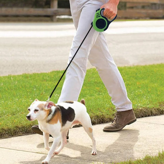 Laisse-pour-chien-sortie-SnappyLeash