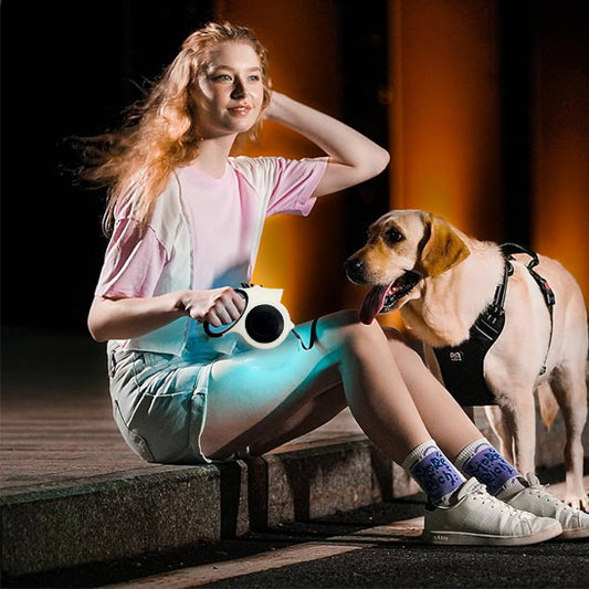 Laisse-pour-chien-style-GlowTrack