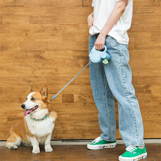 Laisse-pour-chien-style-LibraPaw