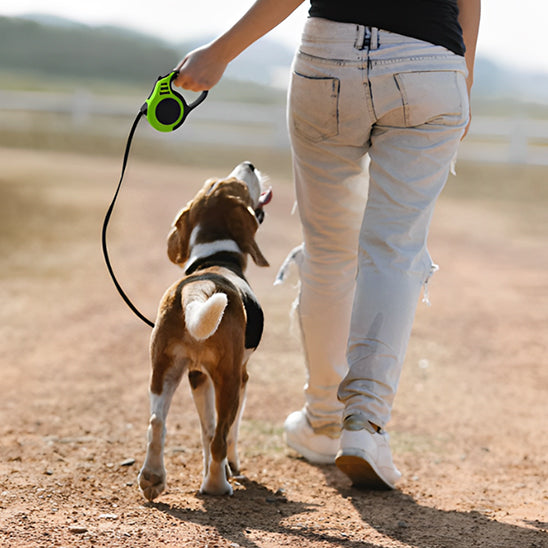 Laisse-pour-chien-style-SnappyLeash