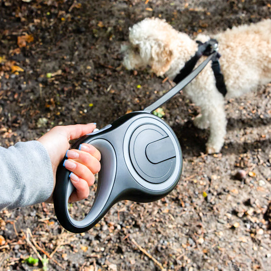 Laisse-pour-chien-style-WagSlide