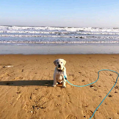 Longe-pour-chien-Confort-NomadLine