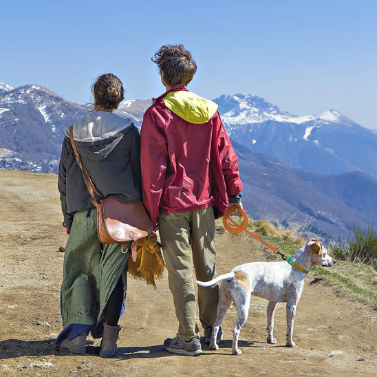 Longe-pour-chien-Marche-LibraPaw