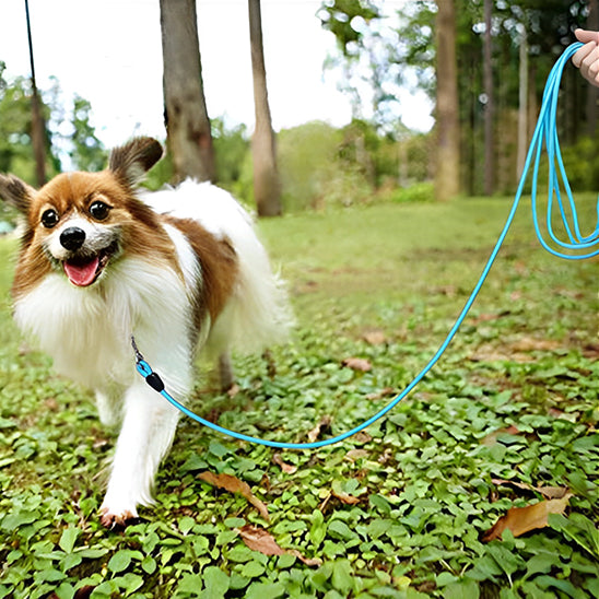Longe-pour-chien-Marche-NomadLine
