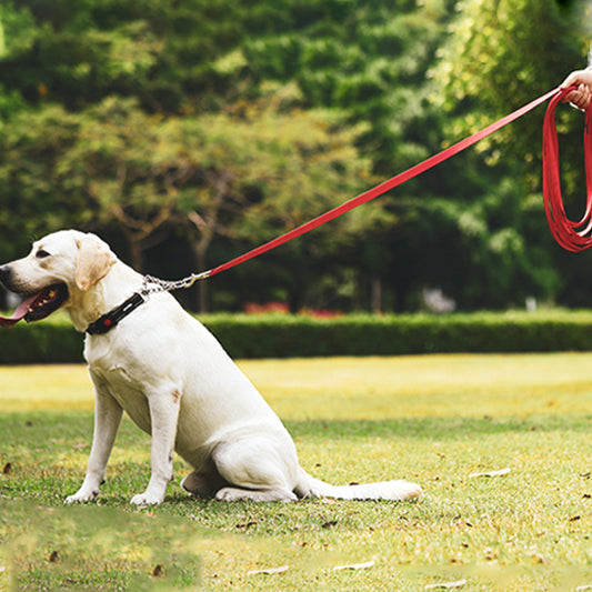 Longe-pour-chien-Marche-WildLead