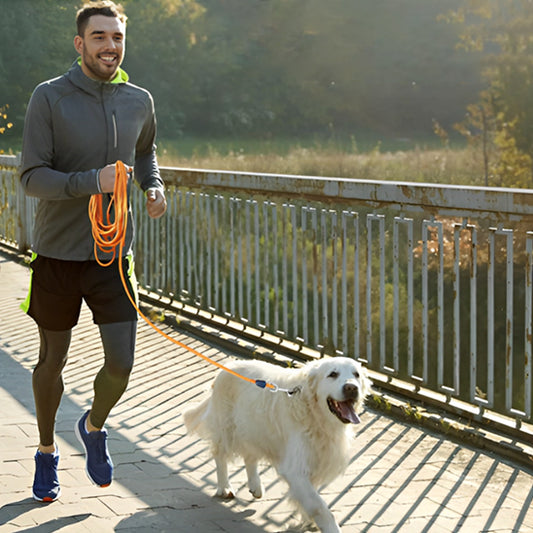 Longe-pour-chien-Sport-NomadLine