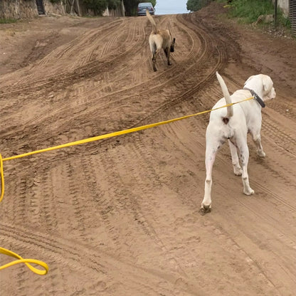 Longe-pour-chien-marche-TrailLonge