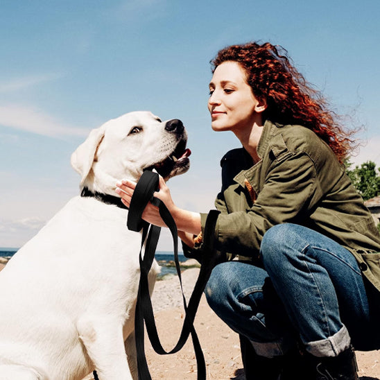 Longe-pour-chien-plaisir-DogHorizon