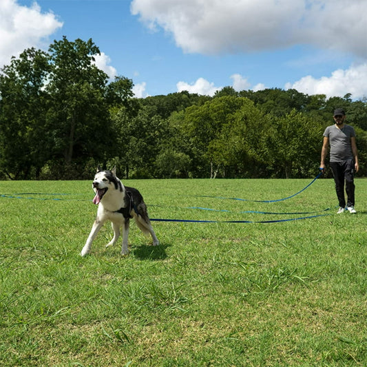 Longe-pour-chien-plaisir-TrailLonge
