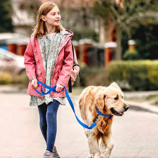 Longe-pour-chien-promenade-DogHorizon