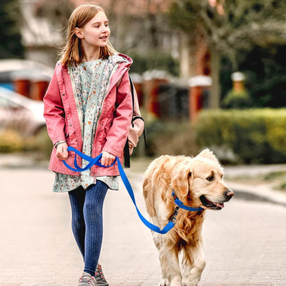 Longe-pour-chien-promenade-DogHorizon