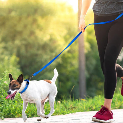 Longe-pour-chien-sport-DogHorizon