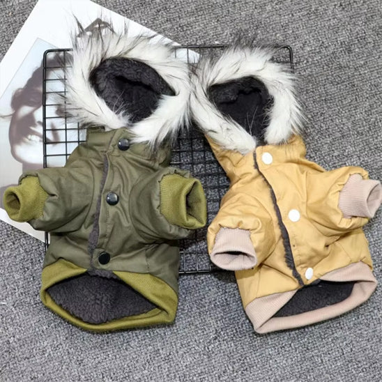 Manteau-chien-Belle-couleur-WarmHood