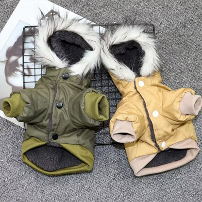 Manteau-chien-Belle-couleur-WarmHood
