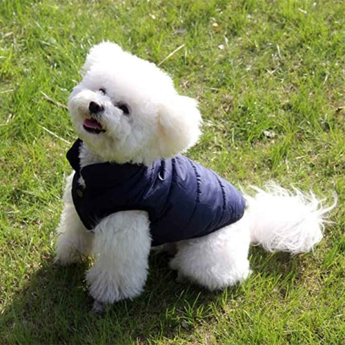 Manteau-chien-Bleu-DoggyCozy