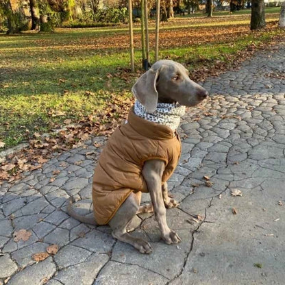 Manteau-chien-Marche-DoggyCozy