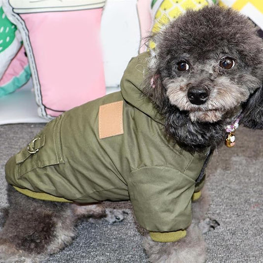 Manteau-chien-Marche-WarmHood