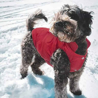 Manteau-chien-Plaisir-DoggyCozy