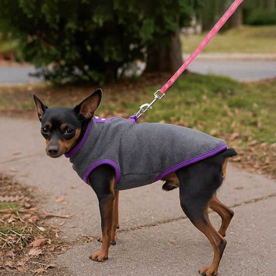Manteau-chien-Plaisir-SoftPup