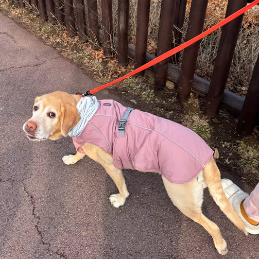 Manteau-chien-Promenade-StormGuard