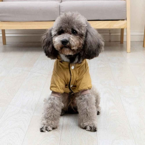 Manteau-chien-Promenade-WarmHood