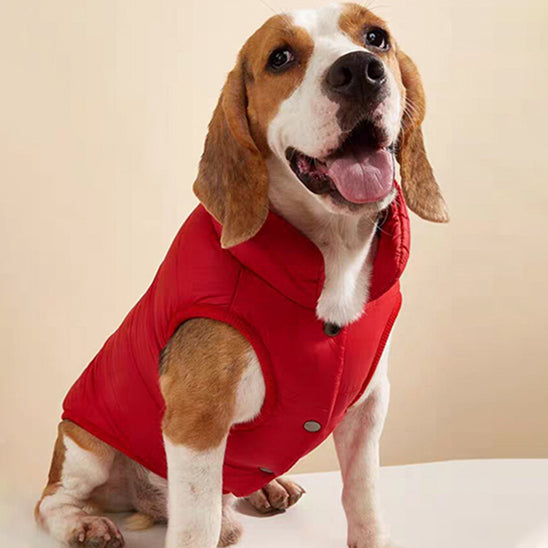 Manteau-chien-Rouge-DoggyCozy